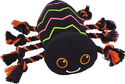Produktbild von Nobby Hundespielzeug Halloween Spinne mit Seil