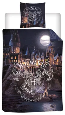 Productafbeelding van Harry Potter dekbedovertrek