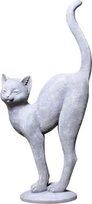 Produktbild von Katze stehend