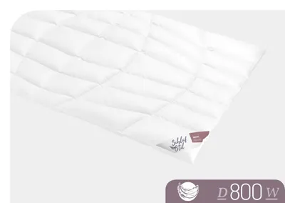 Produktbild von Schlafstil Bettdecke Daunendecke D 800 Warm 200 x 200 cm