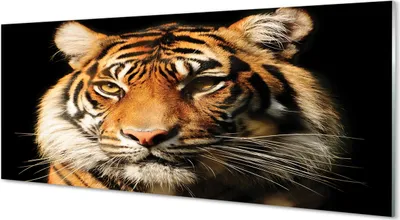 Produktbild von Glasbilder 125x50 Wandkunst Tiger