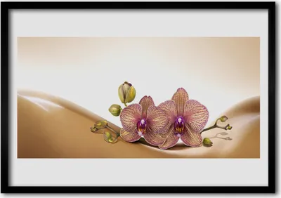 Produktbild von Bild 70x50 MDF-Rahmen Wandkunst Bäume pflanzen Natur