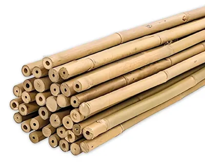 Produktbild von Pflanzenstab Bambus 150 cm, 25 Stück, 12-14 mm, für Garten
