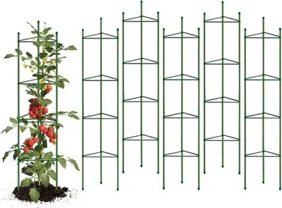 Image de Support pour plantes - Lot de 6 tiges