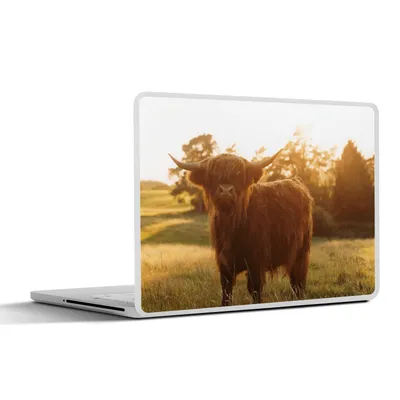 Produktbild von MuchoWow® Laptop Aufkleber Sticker Cover Schottischer Hochländer - Gras - Sonne 40x30 cm - Laptop Dekoration - Selbstklebend