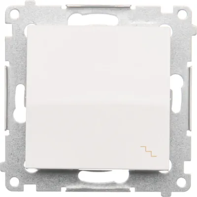 A white light switch with a metallic frame against a white background.