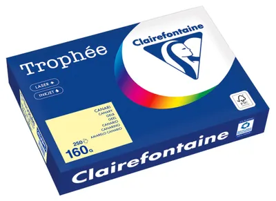 Image de Clairefontaine Kopierpapier 2636PC A4 160g gelb 250Bl