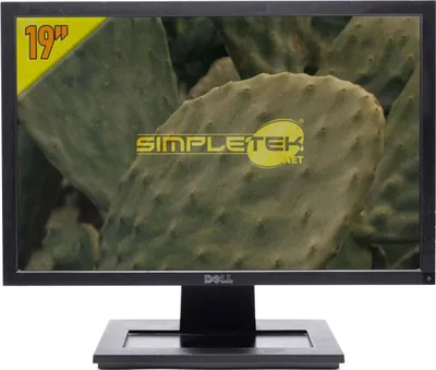 Immagine prodotto di Dell E1911f 19" 16:10 Lcd Monitor Chermo Display Cassa Dvr Computer Fisso Pc
