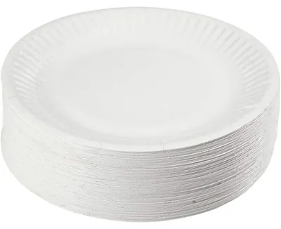 100 Papier-Einwegteller, 7 Zoll, rund, für Partys, mikrowellengeeignet