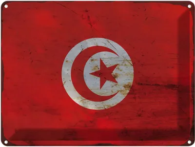 Produktbild von vianmo Blechschild 30x40 cm Tunesien Tunisia Flagge Fahne Wappen