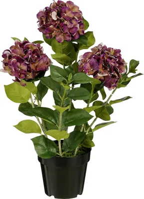 Produktbild von Mica Decorations Kunstpflanze Hortensie im Topf violett Ø 40 x 65 cm