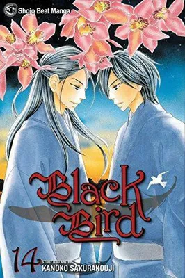 Productafbeelding van Black Bird, Vol. 14