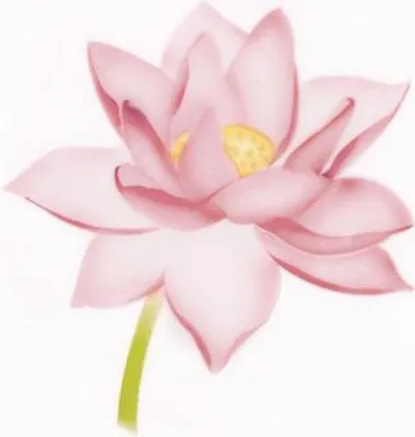 Produktbild von Schablone für Airbrush-Lotus