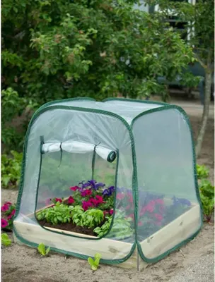 Image de Nature Nature serre pop-up 100 x 100 x 100 cm