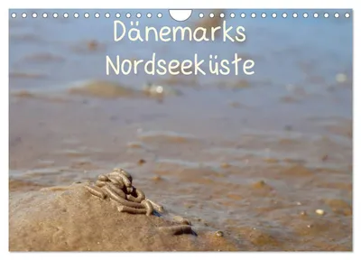Produktbild von Dänemarks Nordseeküste (Wandkalender 2027 DIN A4 quer), CALVENDO Monatskalender