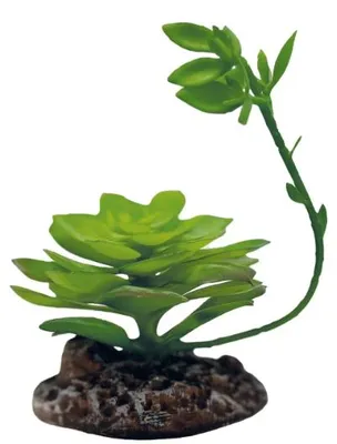 Productafbeelding van Repto Kunstplant Echeveria terrarium 17 cm