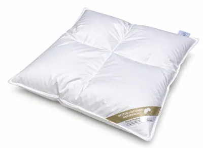 Produktbild von Betten Hofmann Baby Ganzjahres Daunendecke 80x80 Steppbett Babybett 100% Daunen