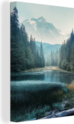 Produktbild von MuchoWow® - Leinwandbilder - Wald - Gras - Berge - Bäume - Natur, Wandbild, Wanddeko Bilder Wohnzimmer, 60x90 cm