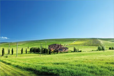 Produktbild von Wallario selbstklebendes Poster - Farm in der Toskana, Größe: 61 x 91,50 cm
