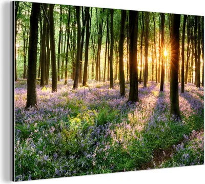 Produktbild von MuchoWow Wanddekoration Metall Metallbild Wandkunst 60x40 cm Wald - Blumen - Lavendel - Sonne - Lila - Natur MuchoWow Aluminium Gemälde - Gemälder