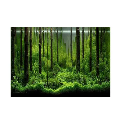 Image de PVC -Klebstoff -Unterwasser -Waldtank Hintergrund Poster Hintergrund Dekorationspapier (122*46 cm)