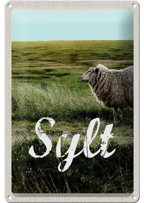 Produktbild von Blechschild Reise 20x30cm Sylt Insel Urlaub Wiese Schaf