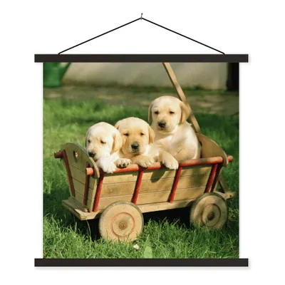 Produktbild von MuchoWow® Textilposter Drei entzückende Golden Retriever Welpen in einem Wagen 40x40 cm mit schwarzem Rahmen - Fotos