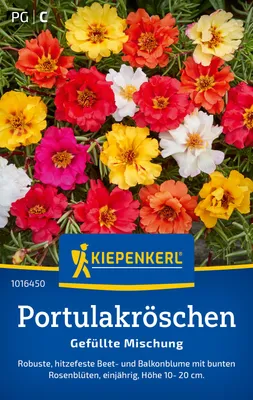 Produktbild von Kiepenkerl Portulakröschensamen Gefüllte Mischung 120 Pflanzen