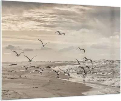 Produktbild von Bilder auf glas - Einteilig - Möwen Küste Boho - 100x70cm - Glasbilder - Wandbilder - Bilder - zum Aufhängen bereit - Wanddekoration aus Glas - Glas Bilder - Wandbild auf Glas - GAA100x70-4723