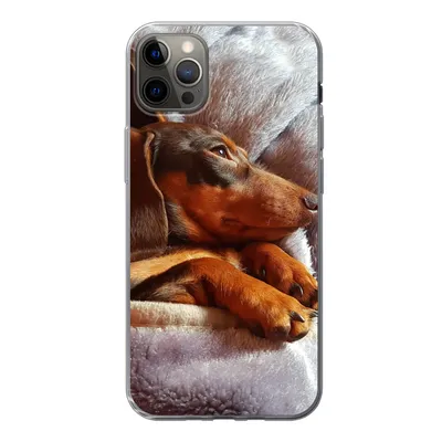 Produktbild von MuchoWow® Handyhülle Schutzhülle Hülle für iPhone 12 Pro Max Niedlicher Dackel liegt unter der Bettdecke Silikon Softcase Handy Hülle - Hartschale