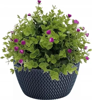 Zdjęcie produktu dla Okrągła plastikowa doniczka SPLOFY 23,6 cm antracytowa