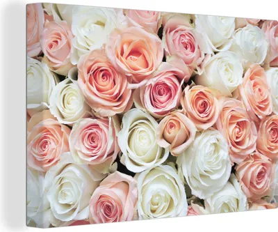 Produktbild von OneMillionCanvasses® - Leinwandbilder - 150x100 cm, Rosen - Blumen - Weiß - Rosa, Wandbilder Kunstdruck Wanddekoration - Foto auf Leinwand - Gemälde auf Holzrahmen