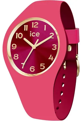Image de Ice-Watch montres analogiques pour adultes