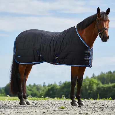 Productafbeelding van Paardendeken - Staldeken Deken - Paard Warm Houden - Anti-Slip Pasvorm - 190.5 cm - Donkerblauw
