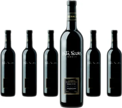 Produktbild von 6 x Pata Negra Valdepeñas Roble