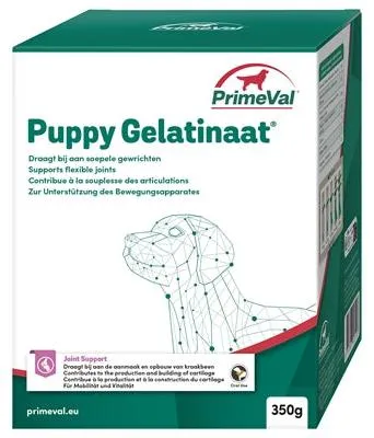 Productafbeelding van Oeroude Gelatinehond