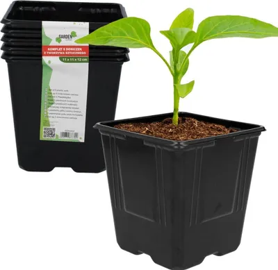 Image de Lot de 5 pots pour semis
