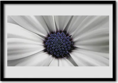 Produktbild von Bild 70x50 MDF-Rahmen Wandkunst Blumen Pflanzen