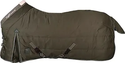Zdjęcie produktu dla Harry´s Horse Highliner 300 Wl25 Derka stajenna Zielona 195 cm Zielona 195 cm