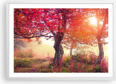 Produktbild von Gerahmtes Poster - Weißer Rahmen - Baum Natur Wiese - 70x50 cm - Wand Bild - Wanddeko - Wandbilder - Kunstposter - Wandposter - Bilderrahmen - Bilder - Kunstdruck - Wandbild - P2WAA70x50-3658