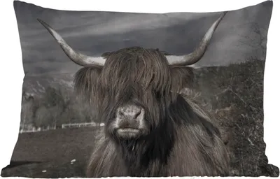 Produktbild von MuchoWow® Outdoor Kissen - Schottisches Hochlandrind - Tiere - Hörner - 60x40 cm - Wetterfest - Lounge Kissen - Zierkissen - Kissen für Innenräume