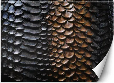 Immagine prodotto di Murale XXL texture pelle di serpente carta da parati per pareti 450x315 cm colore Nero tema Sfondi e texture