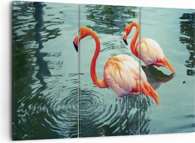 Produktbild von Bild auf Leinwand - Leinwandbild - 3 Teile - Rosa Flamingos Wasser - 105x70cm - Wand Bild - Wanddeko - Wandbilder - Leinwanddruck - Bilder - Wanddekoration - Leinwand bilder - Wandbild - CE105x70-4203