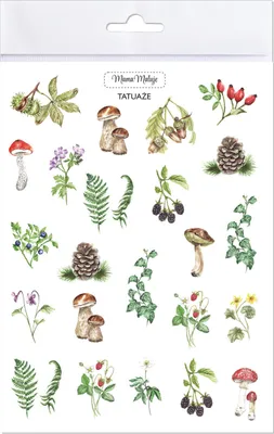 Immagine prodotto di Tatuaże zmywalne Leśne botaniczne dla dzieci