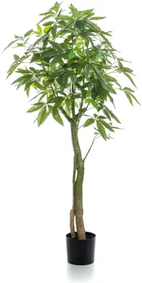 Produktbild von Sztuczna roślina - Pachira Aquatica - Lucky Chestnut - 150 cm