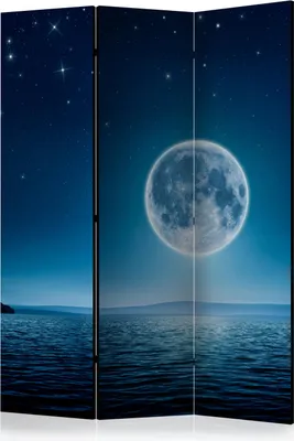 Produktbild von 3-teiliger Einseitiger Vlies Paravent - Moonlit night 135x172 cm Landschaften c-A-0036-z-b