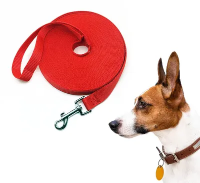 Produktbild von Hundetrainingsleine, in verschiedenen Längen von 1,2 bis 30 Metern, für kleine und große Hunde (rot, 10 Meter x 1,5 cm)