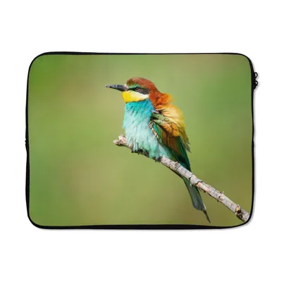 Produktbild von MuchoWow® Laptop Hülle 15 Zoll Vogel - Tiere - Bienenfresser Laptoptasche - Laptoptasche - Sleeve - Rundum-Schutz