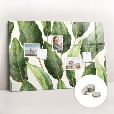 Obrázek produktu pro Magnetická Tabule na Zeď Skleněná - Memo Board Kleněnou Přední Stranou - 5 magnetů v balení - 90x60 cm - Palmové listy