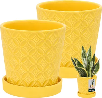 Obrázok produktu pre KOTARBAU® 2 ks kvetináč s podšálkou horčicovo žltá ⌀ 13 cm výška: 15 cm glazovaný keramický kvetináč keramický veľký kvetináč na rastliny kaktusový kvetináč s podšálkou kachepot s podšálkou keramické kvetináče
